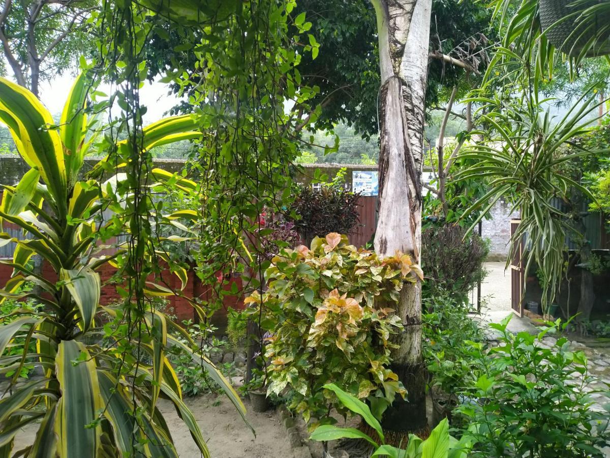 Rishīkesh Last Chance Cafe And Guest House المظهر الخارجي الصورة